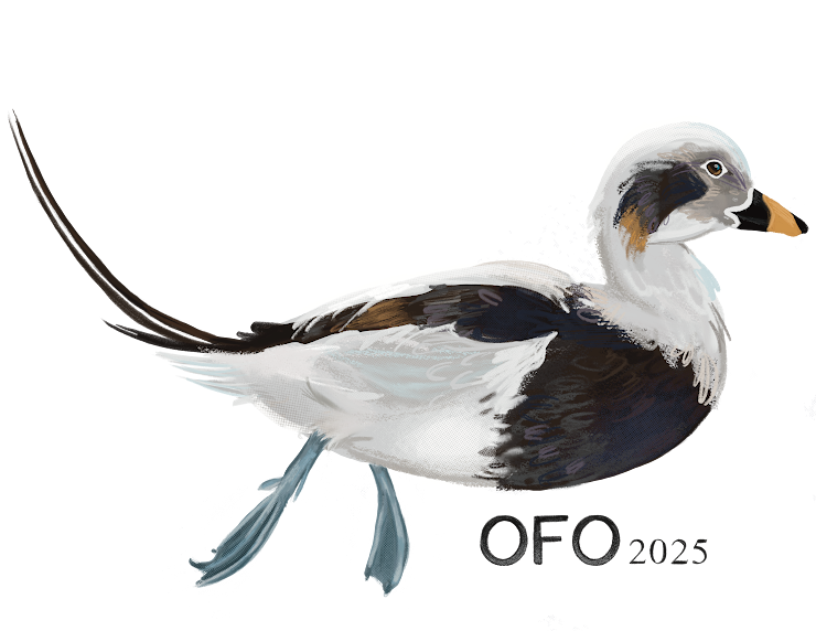 OFO Bird of the year logo of a Long-tailed duck