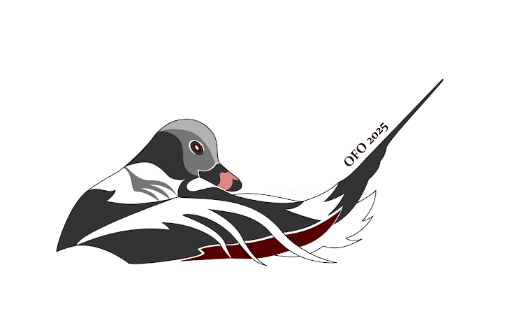 OFO Bird of the year logo of a Long-tailed duck