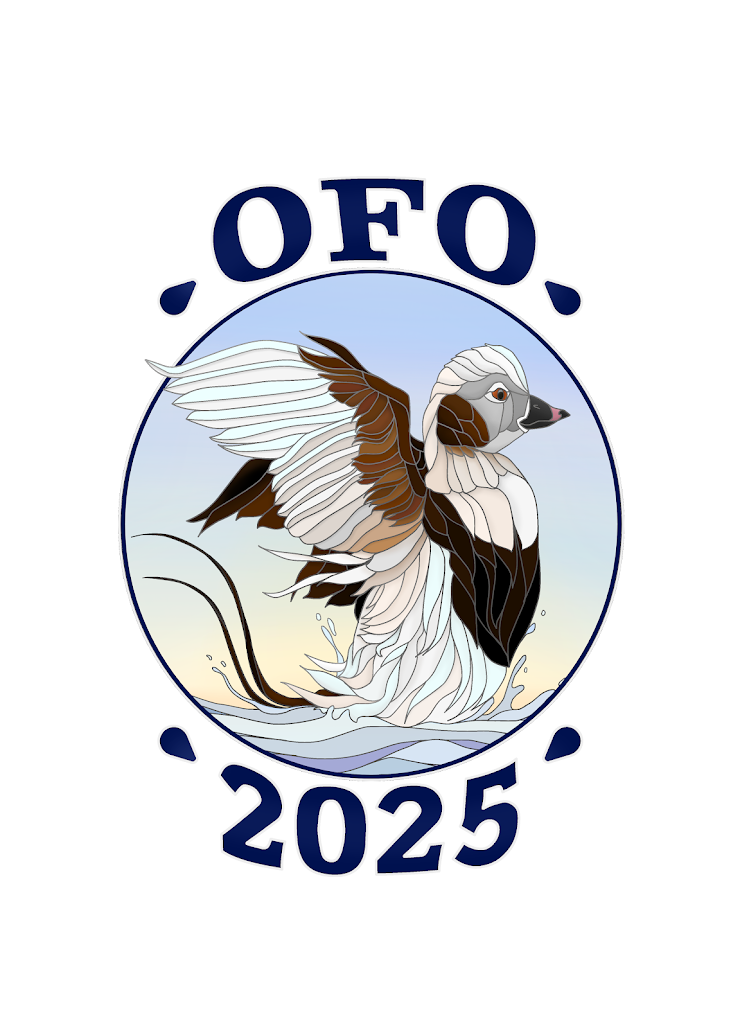 OFO Bird of the year logo of a Long-tailed duck