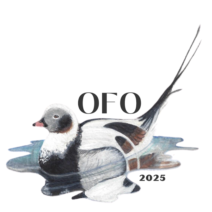 OFO Bird of the year logo of a Long-tailed duck