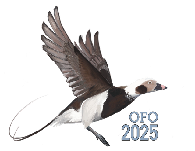 OFO Bird of the year logo of a Long-tailed duck