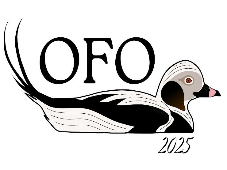 OFO Bird of the year logo of a Long-tailed duck