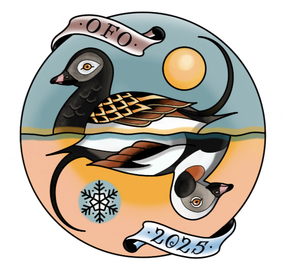 OFO Bird of the year logo winner of a Long-tailed duck